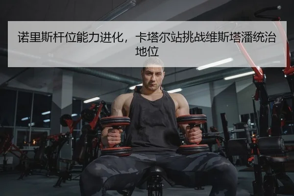 nuo-li-si-gan-wei-neng-li-jin-hua-ka-ta-er-zhan-tiao-zhan-wei-si-ta-pan-tong-zhi-di-wei-2-380.jpg